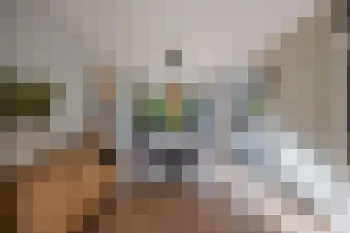 Stal 271 Drachten thumbnail 12