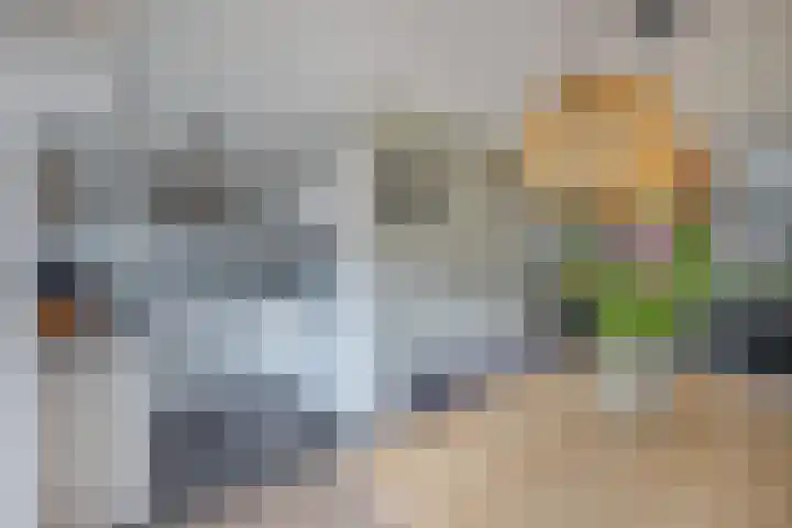 Stal 271 Drachten thumbnail 13