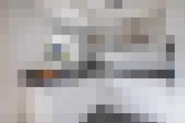Stal 271 Drachten thumbnail 14