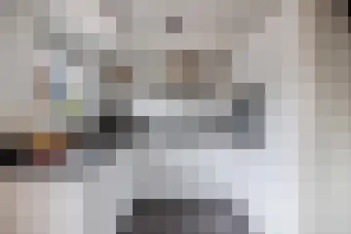Stal 271 Drachten thumbnail 15