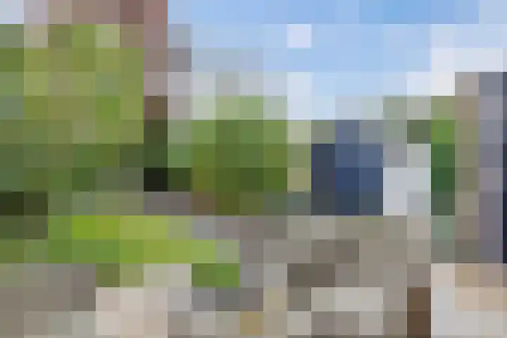 Stal 271 Drachten thumbnail 17