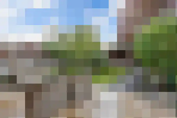 Stal 271 Drachten thumbnail 18