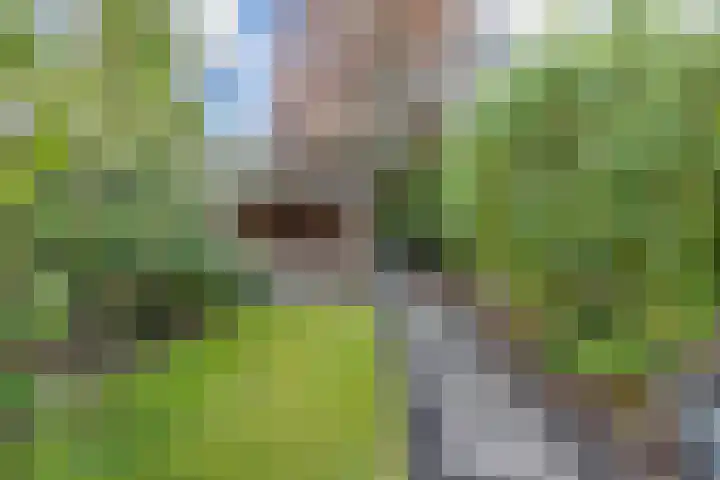 Stal 271 Drachten thumbnail 19