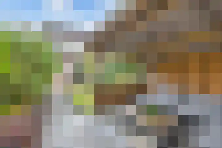 Stal 271 Drachten thumbnail 21