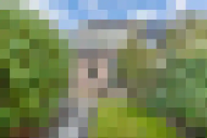 Stal 271 Drachten thumbnail 22