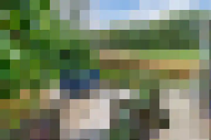 Stal 271 Drachten thumbnail 25