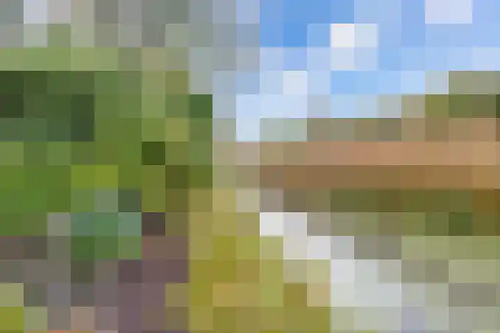 Stal 271 Drachten thumbnail 27