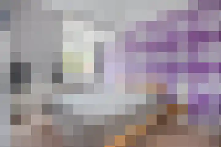 Stal 271 Drachten thumbnail 29