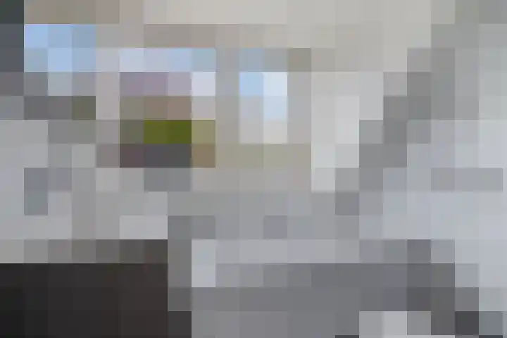 Stal 271 Drachten thumbnail 31