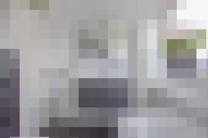 Stal 271 Drachten thumbnail 33