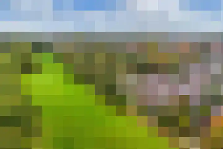 Stal 271 Drachten thumbnail 39