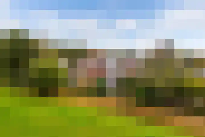 Stal 271 Drachten thumbnail 40