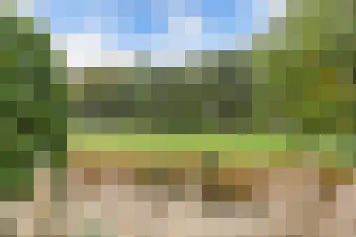 Stal 271 Drachten thumbnail 41