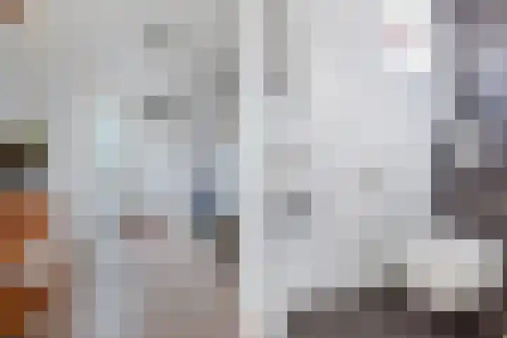 Stal 271 Drachten thumbnail 5