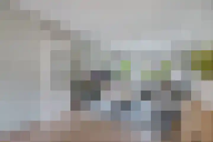 Stal 271 Drachten thumbnail 7