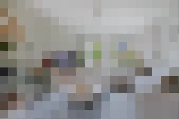 Stal 271 Drachten thumbnail 8