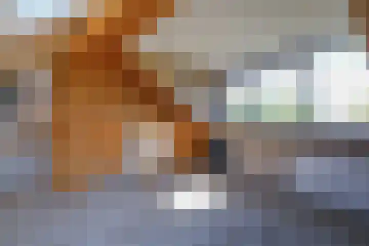 Stal 311 Drachten thumbnail 24