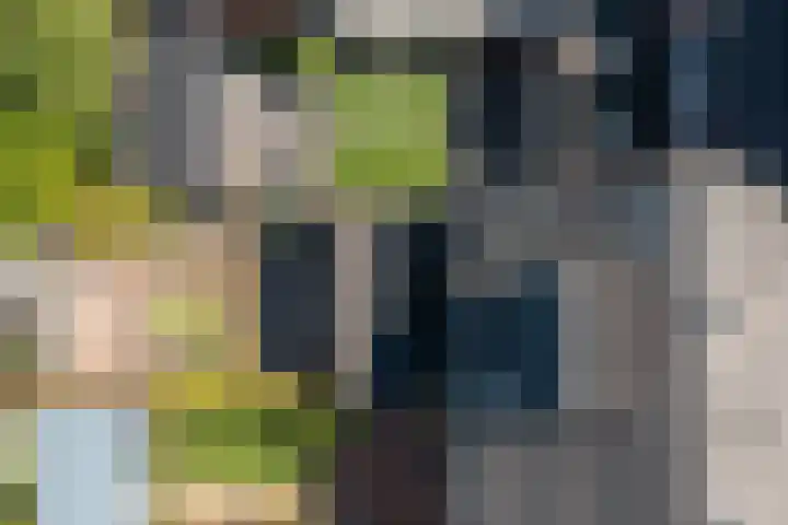 Stal 311 Drachten thumbnail 27