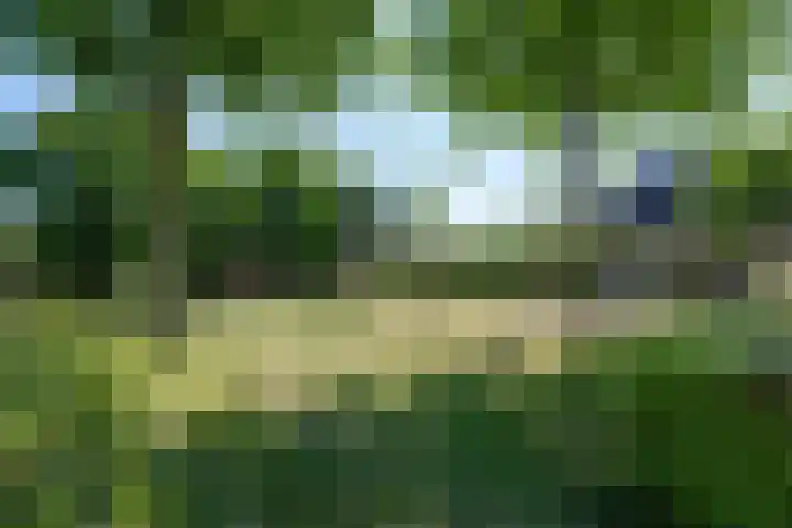 Stal 311 Drachten thumbnail 28