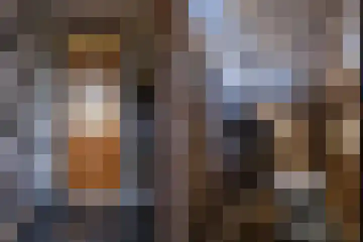Stal 311 Drachten thumbnail 8