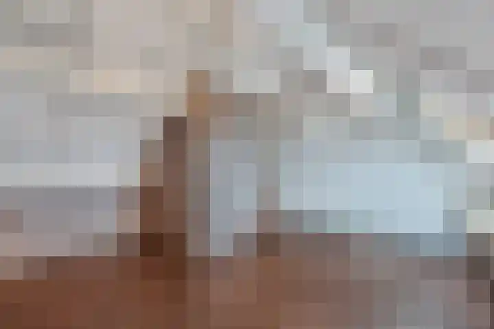 Stal 371 Drachten thumbnail 29