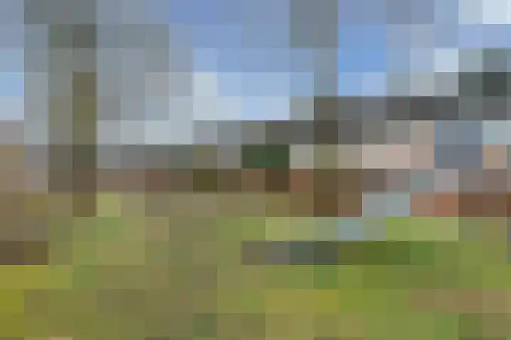 Stal 371 Drachten thumbnail 37