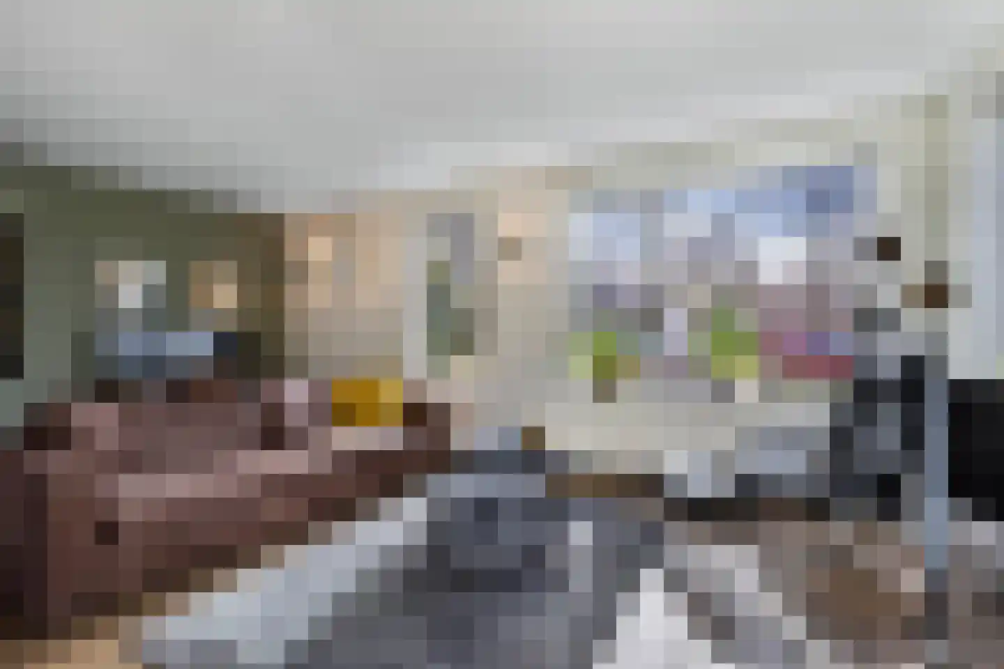 Stal 4 Drachten thumbnail 10