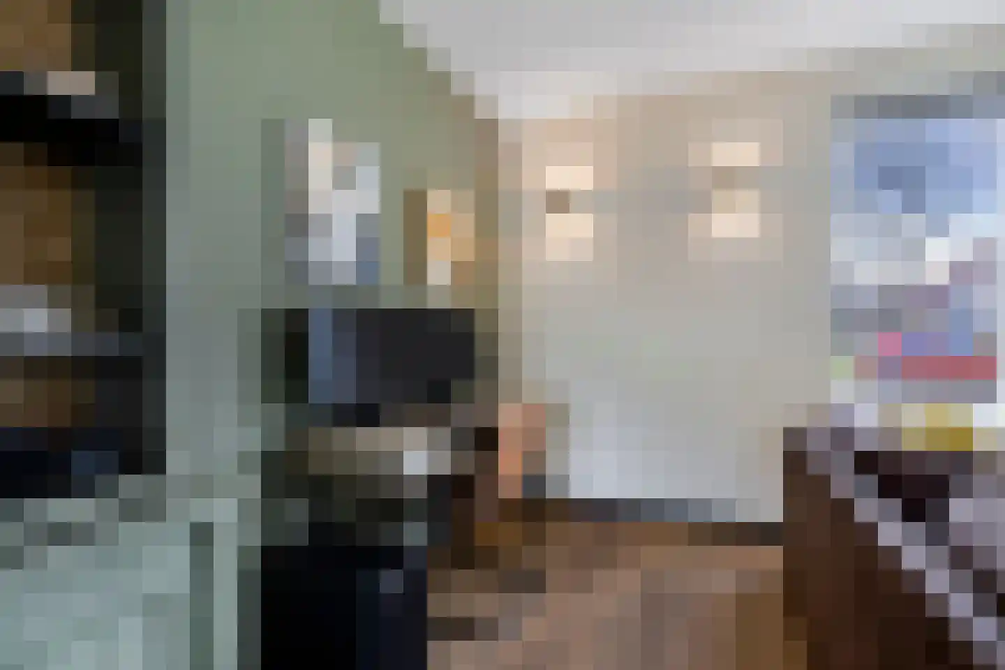 Stal 4 Drachten thumbnail 11