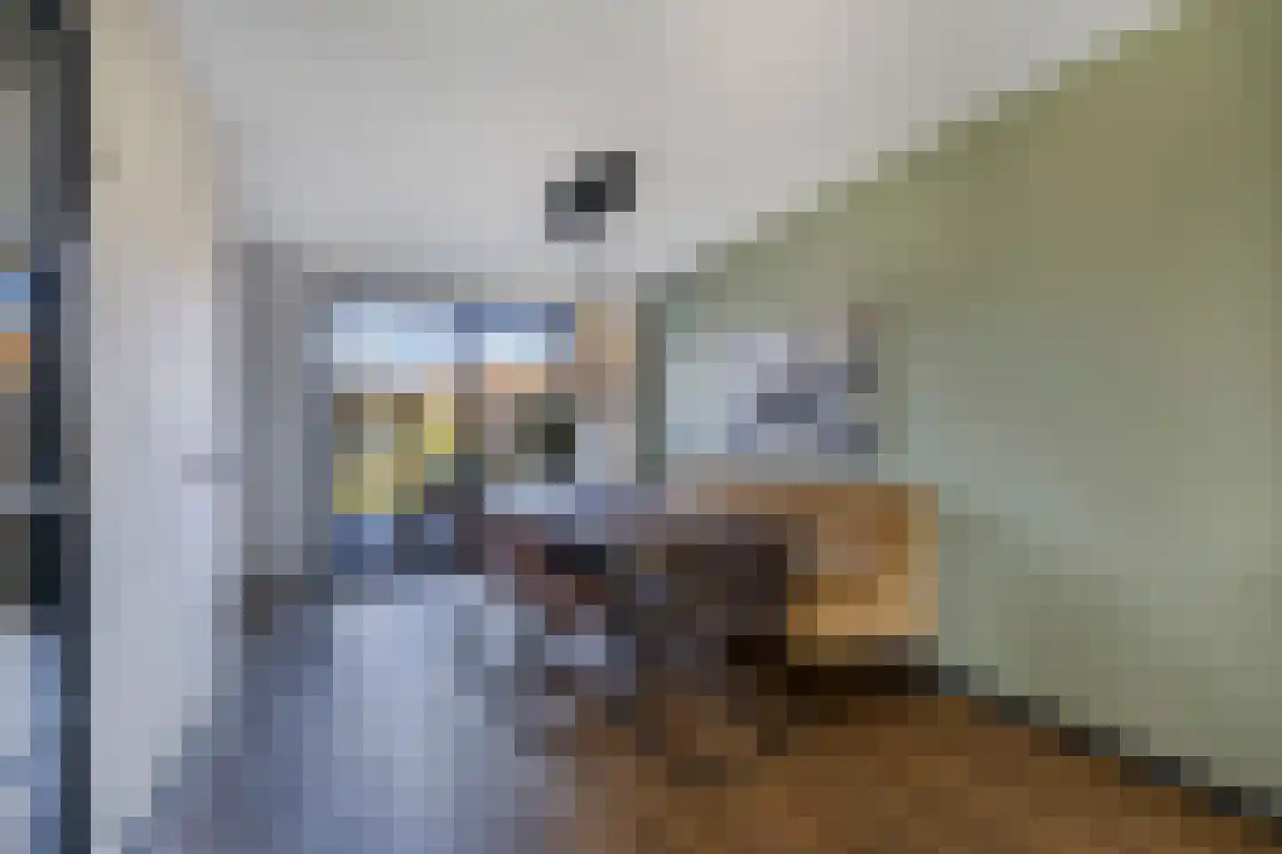 Stal 4 Drachten thumbnail 12