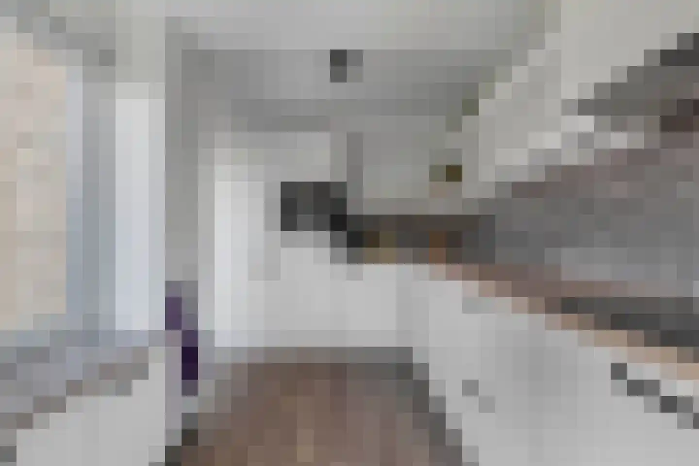 Stal 4 Drachten thumbnail 15