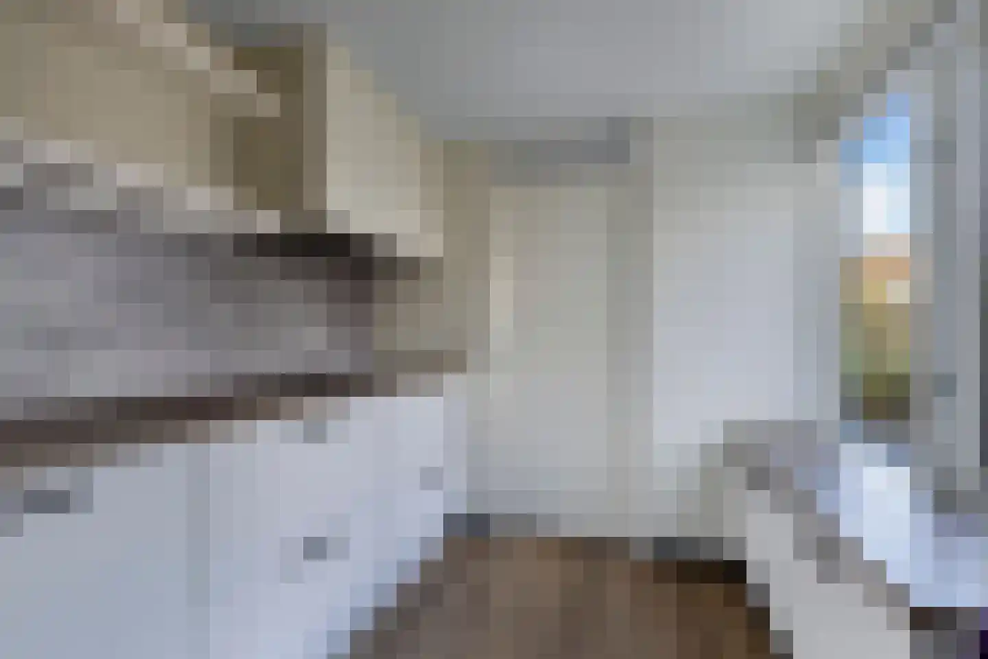 Stal 4 Drachten thumbnail 16