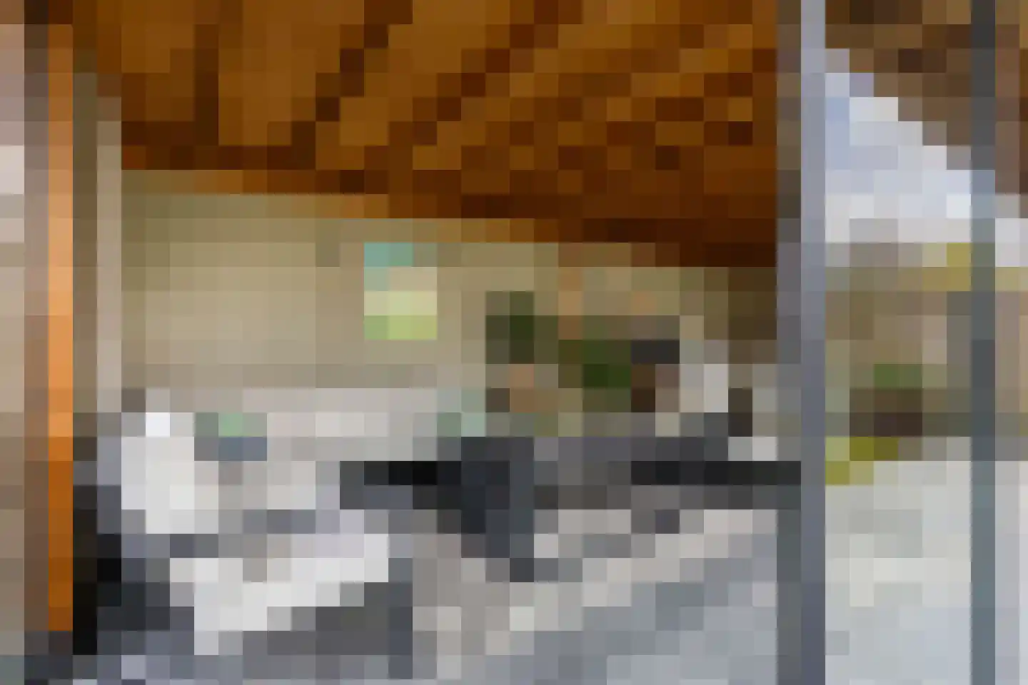 Stal 4 Drachten thumbnail 25