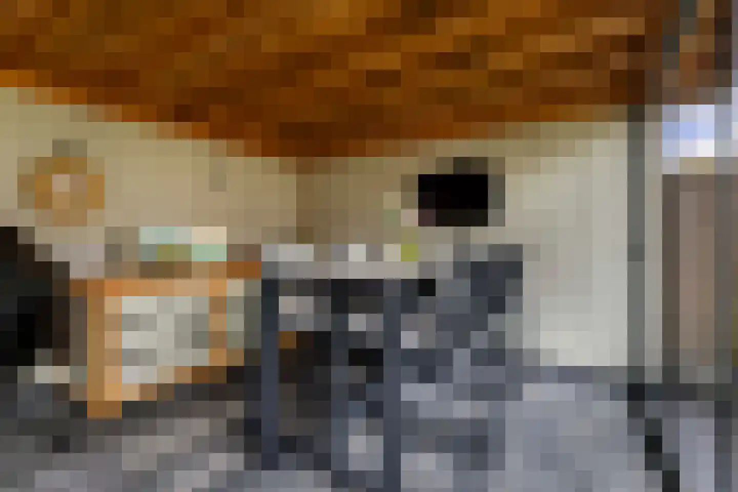 Stal 4 Drachten thumbnail 26