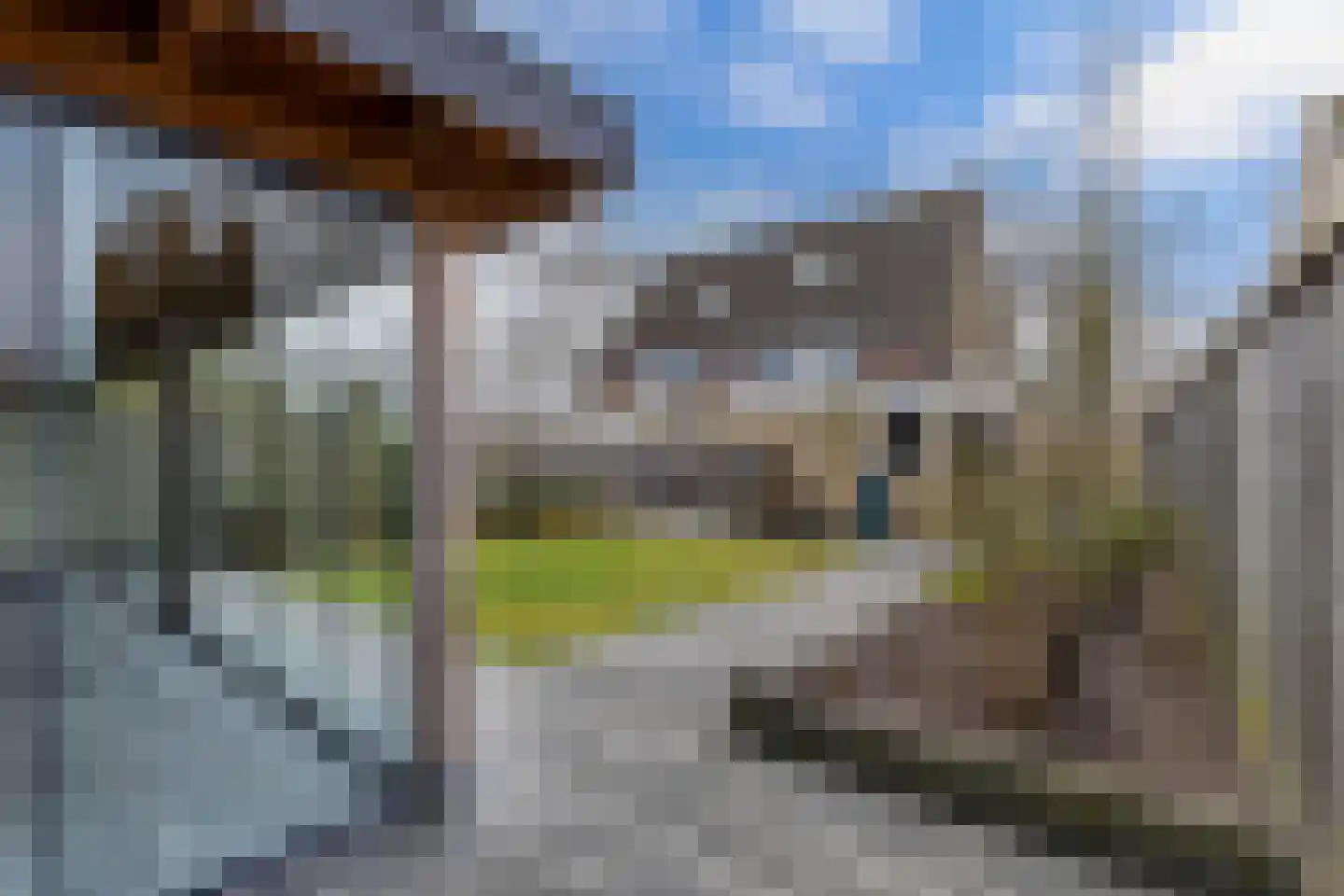 Stal 4 Drachten thumbnail 30