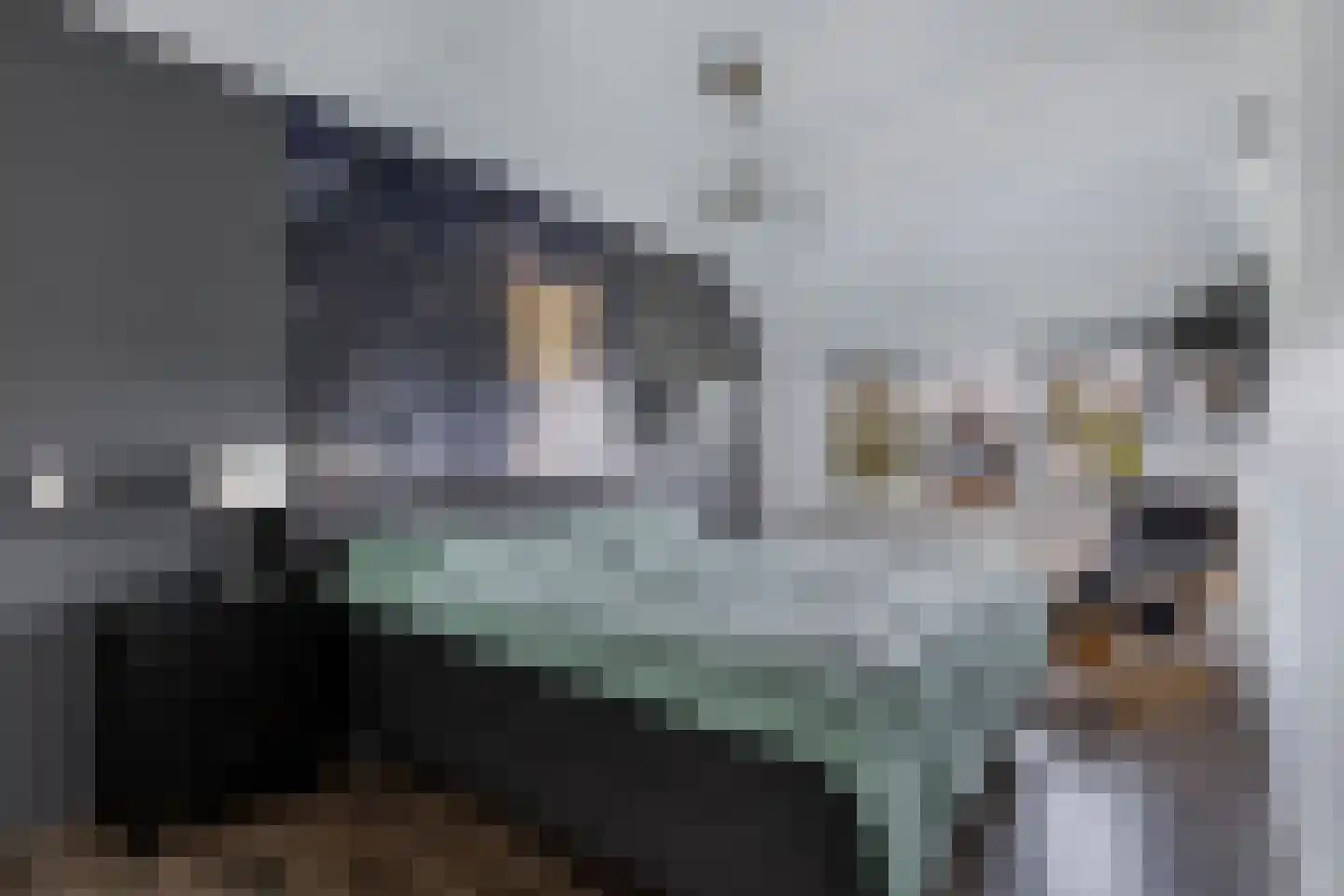Stal 4 Drachten thumbnail 34