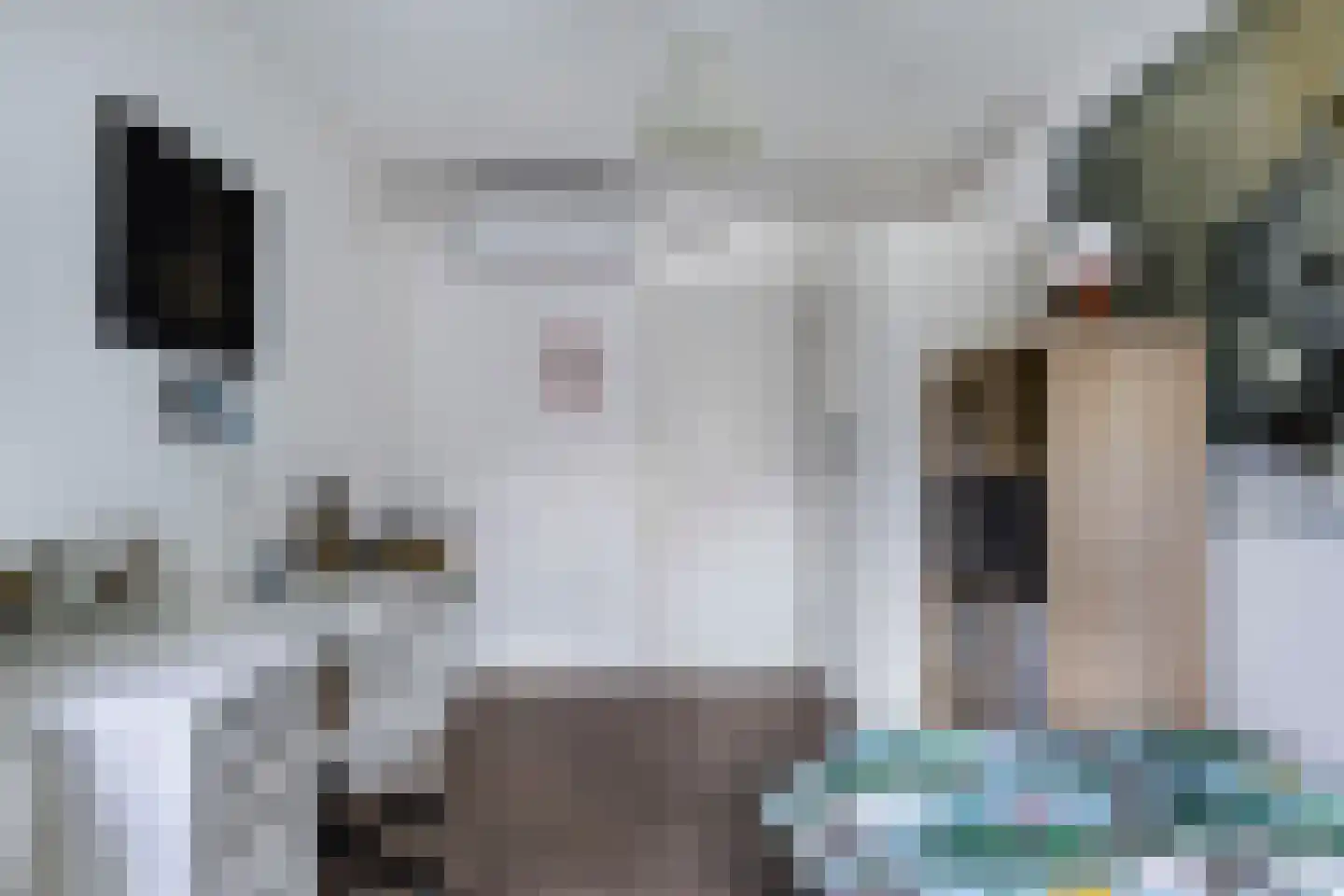 Stal 4 Drachten thumbnail 38