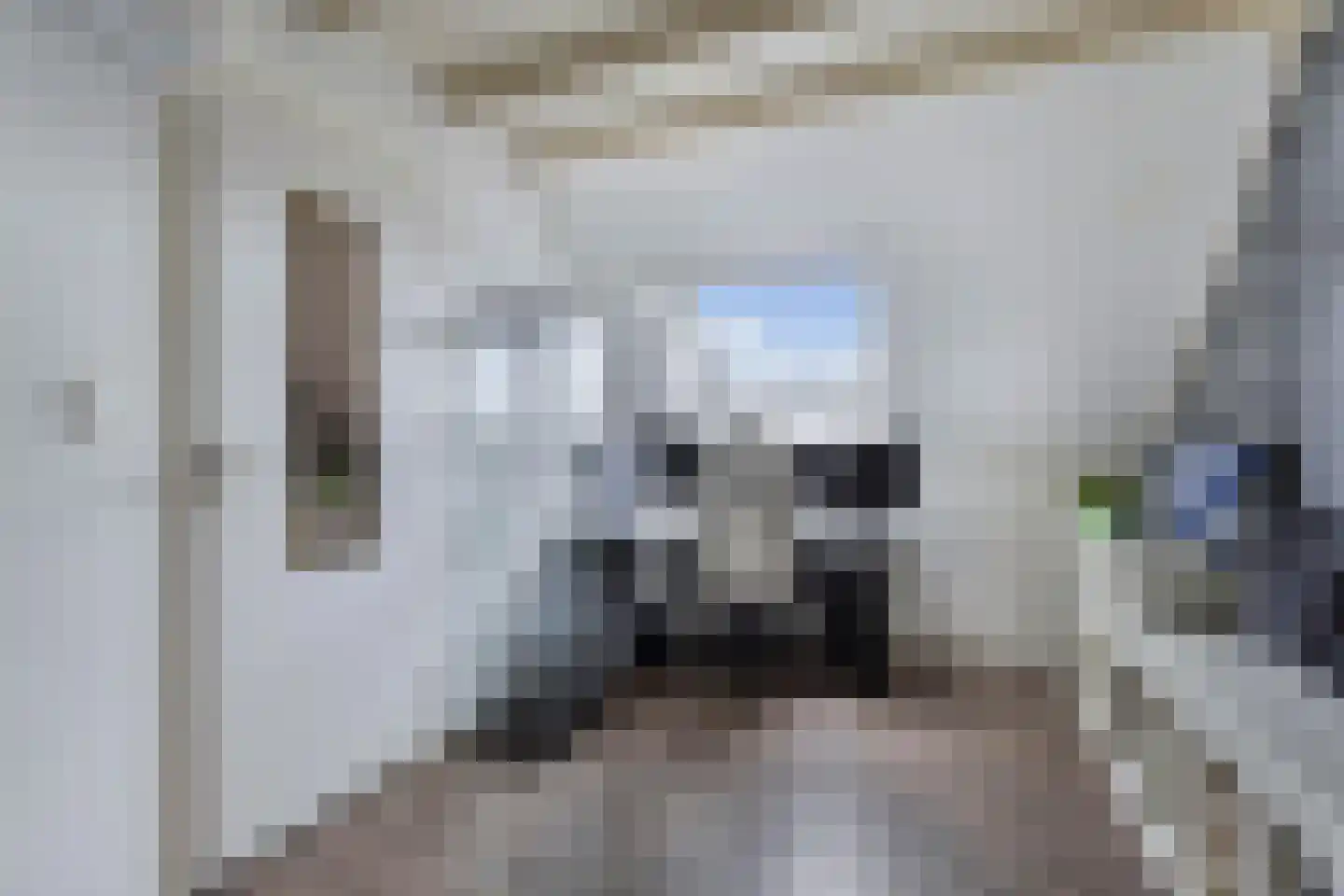 Stal 4 Drachten thumbnail 42