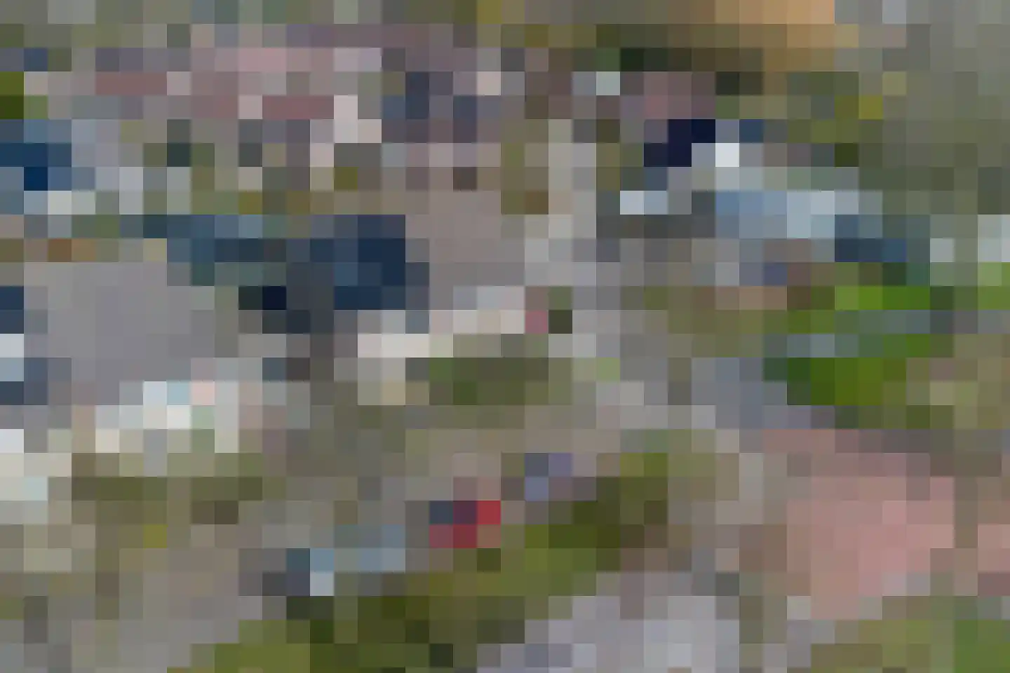 Stal 4 Drachten thumbnail 44