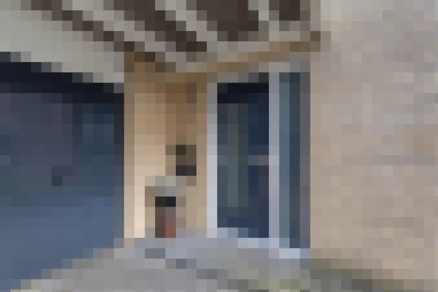 Stal 4 Drachten thumbnail 6