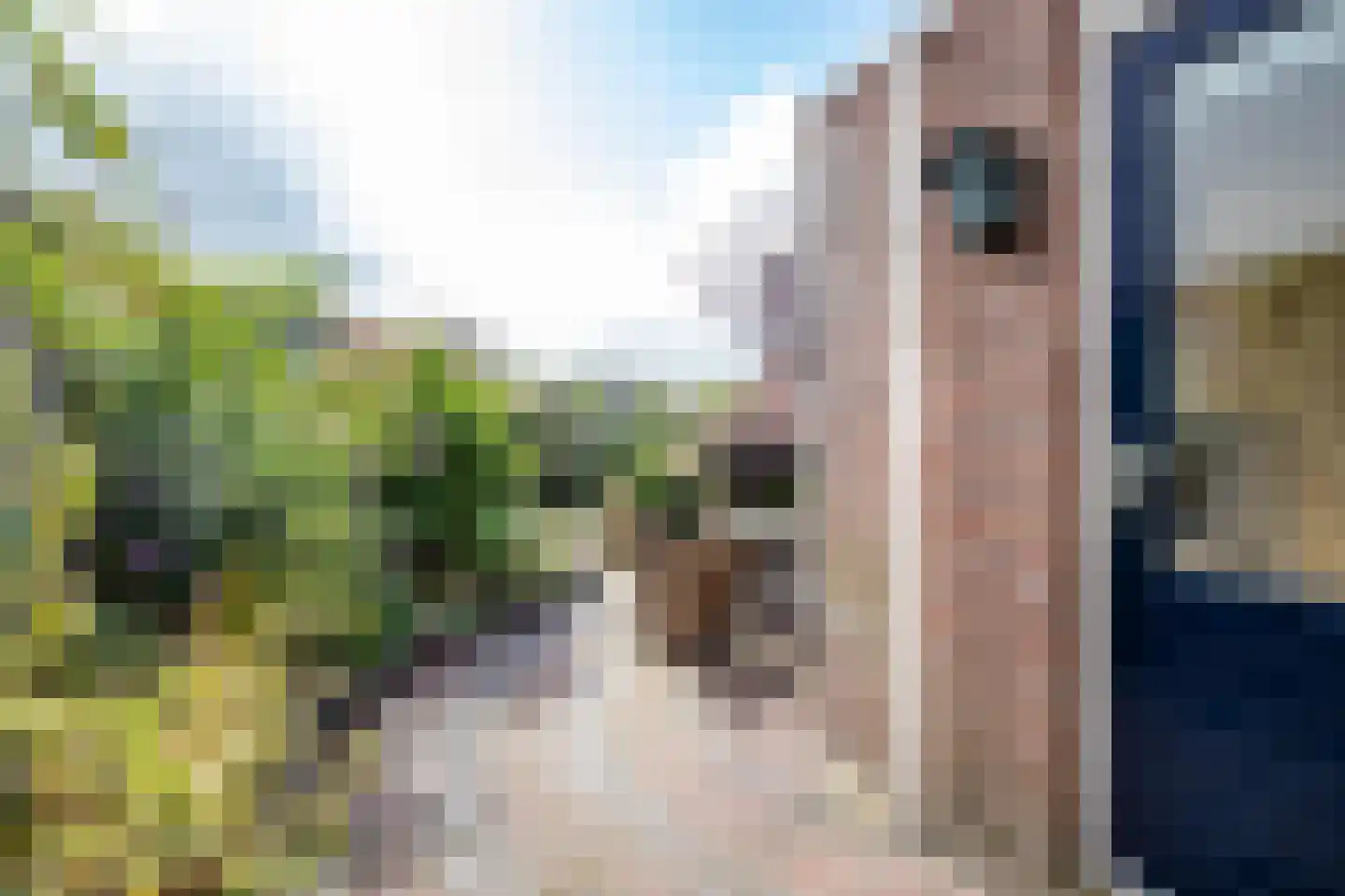 Stal 53 Drachten thumbnail 25