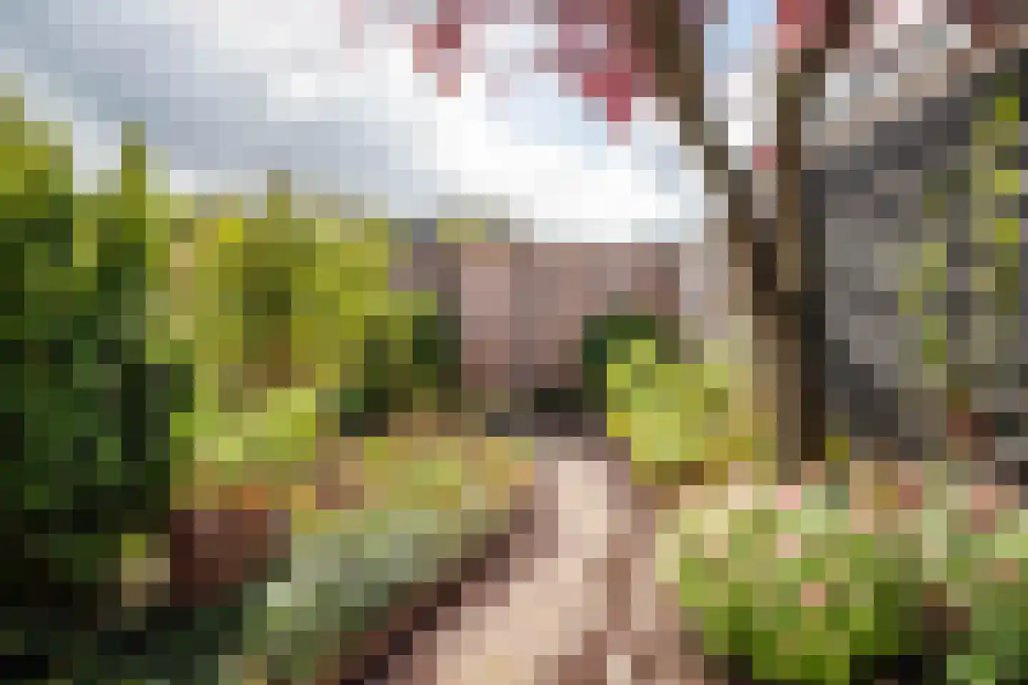 Stal 53 Drachten thumbnail 32