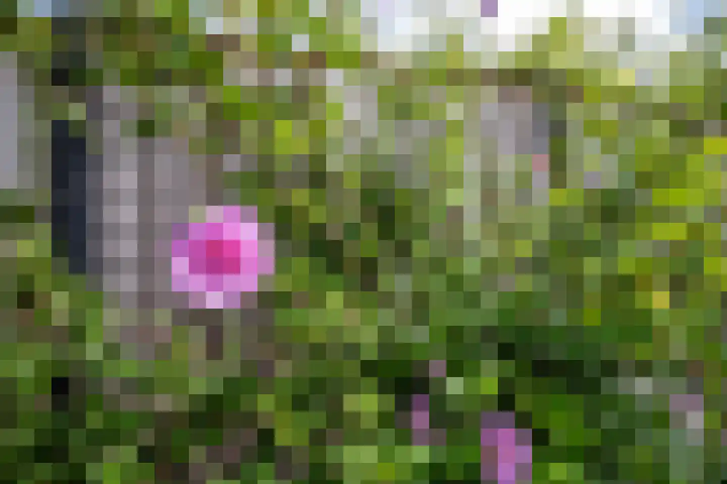 Stal 53 Drachten thumbnail 33