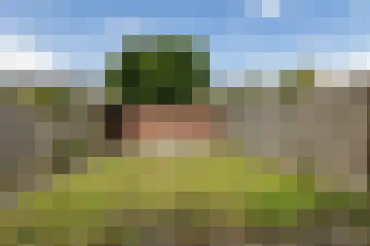 Stalberg 6 Weert thumbnail 24