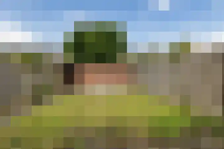 Stalberg 6 Weert thumbnail 4