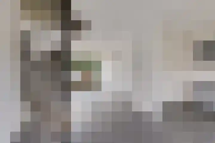 Stalberg 6 Weert thumbnail 7