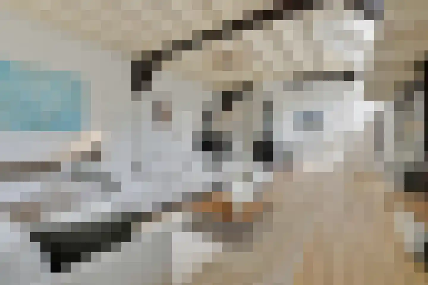 Stalen Enk 39 Velp thumbnail 11