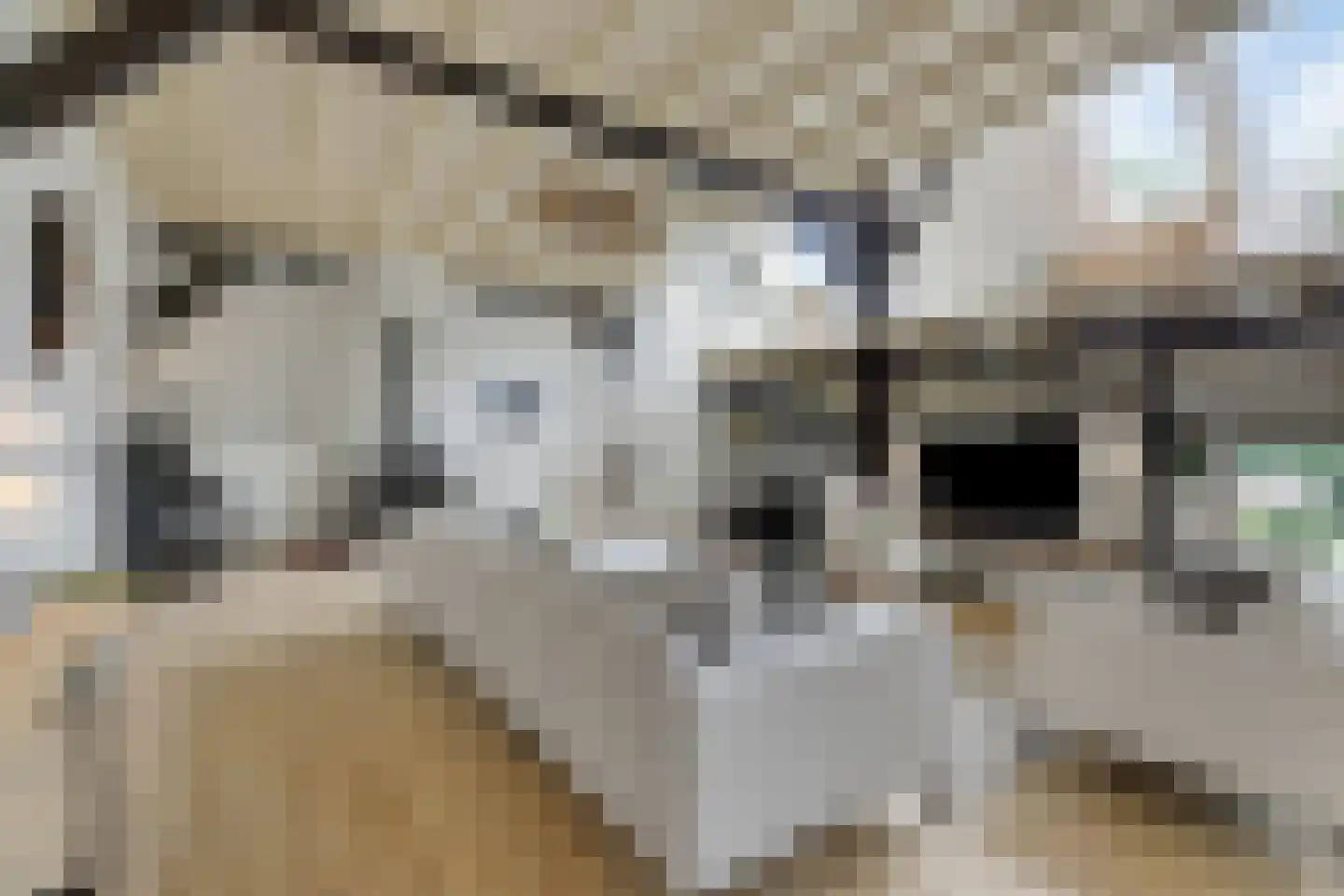 Stalen Enk 39 Velp thumbnail 12