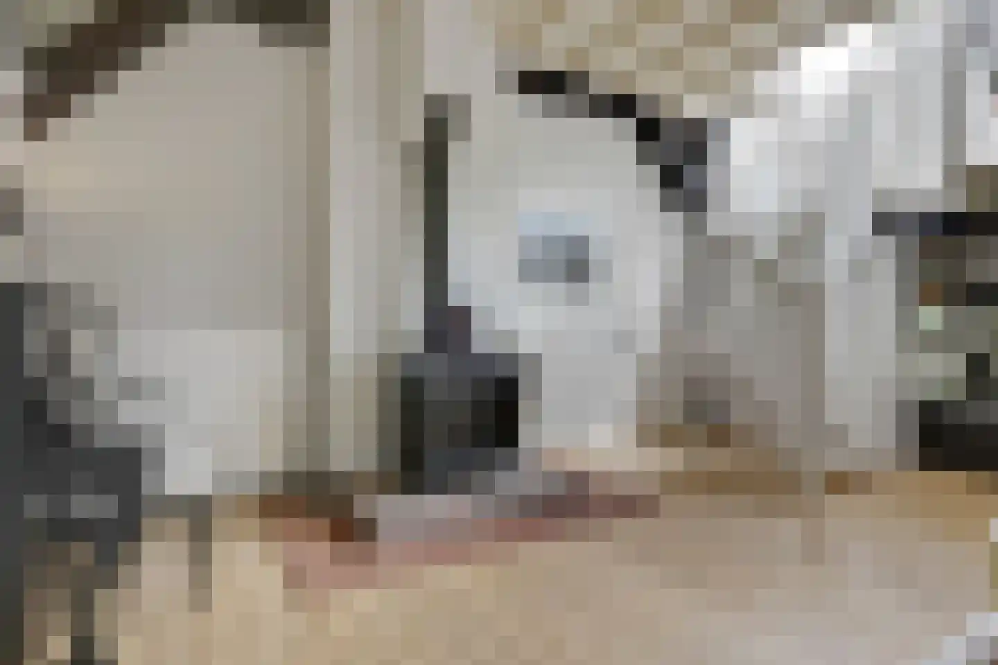 Stalen Enk 39 Velp thumbnail 13