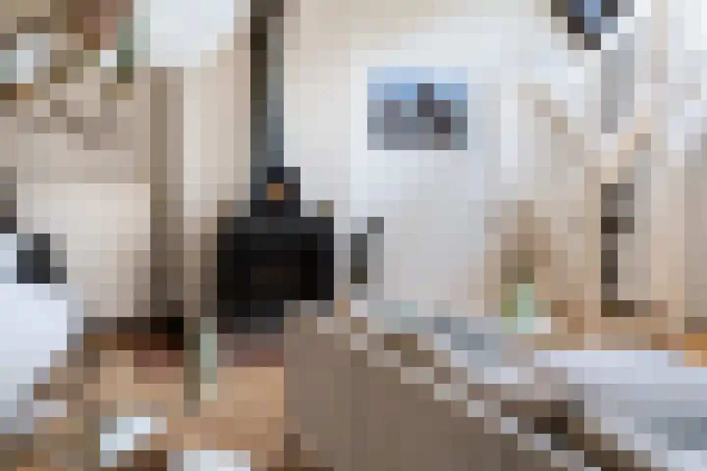 Stalen Enk 39 Velp thumbnail 15