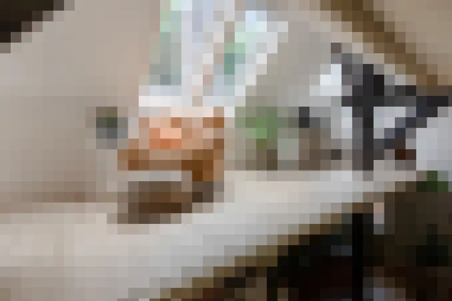 Stalen Enk 39 Velp thumbnail 16